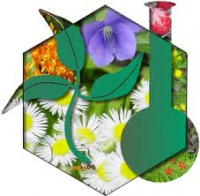 /album/fotogaleria/fitoquimica-png/